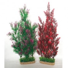 product37