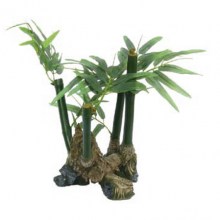 product37