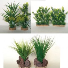 product37