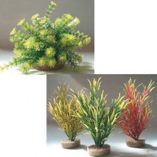 product37