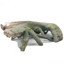 product37