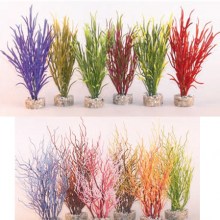 product37